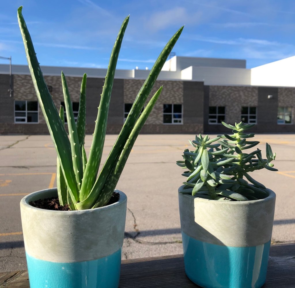 Those Who Can, Teach. Those Who Can’t (And Need To Support Themselves), Take A Mental Health&nbsp;Leave.