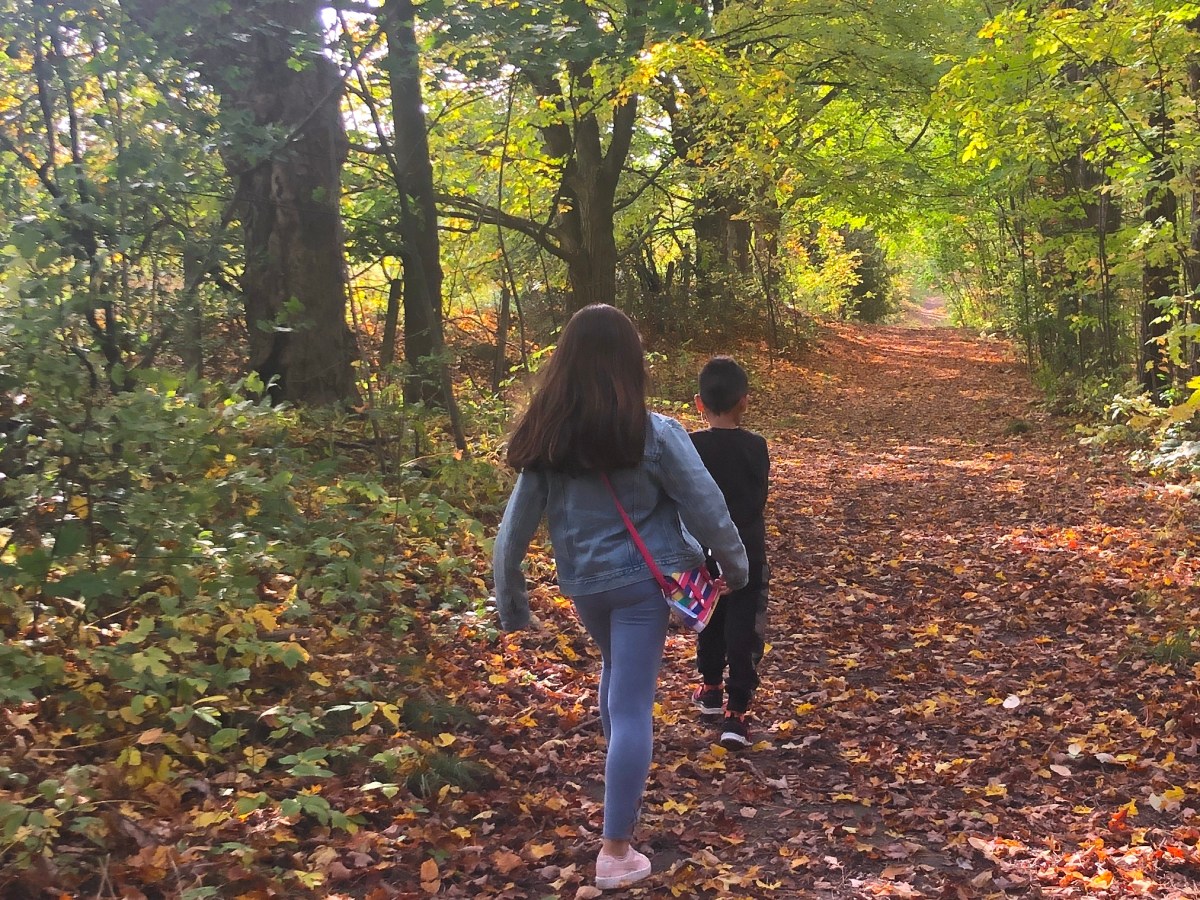 I Love My Children,&nbsp;But….